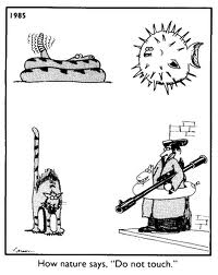 Illustration for article titled Final Farside Dose of The Day